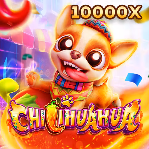 betvnd cc Fachai Chihuahua